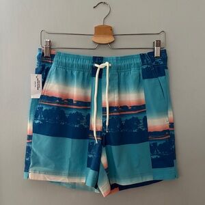 Mens RSQ Swim Shorts